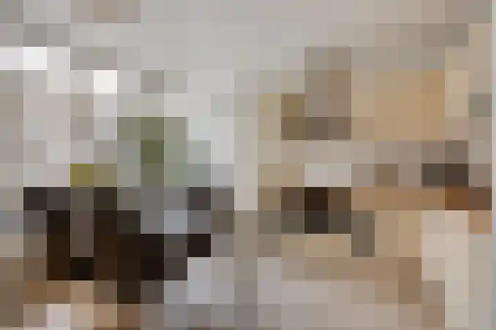 Deken Thielenstraat 3 Venray thumbnail 17
