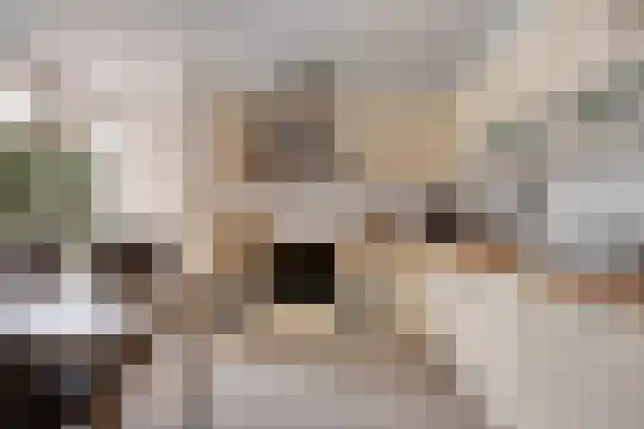 Deken Thielenstraat 3 Venray thumbnail 18
