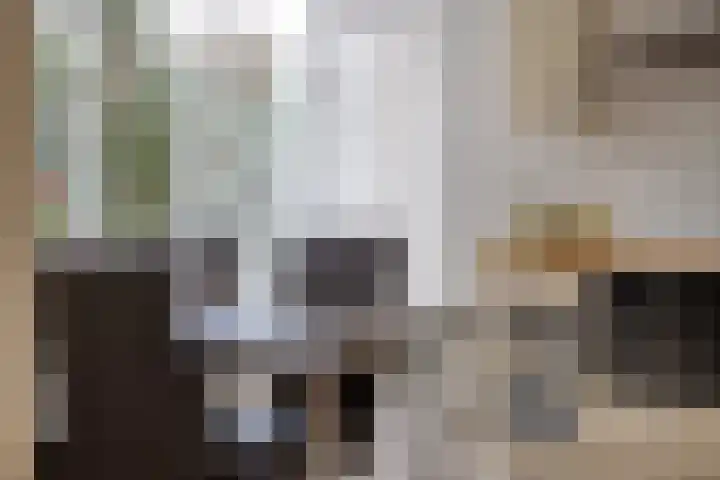 Deken Thielenstraat 3 Venray thumbnail 19