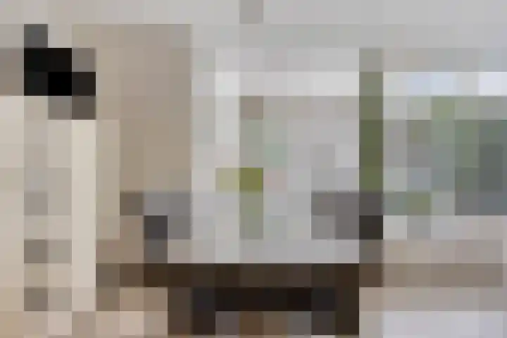 Deken Thielenstraat 3 Venray thumbnail 20