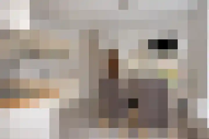Deken Thielenstraat 3 Venray thumbnail 21