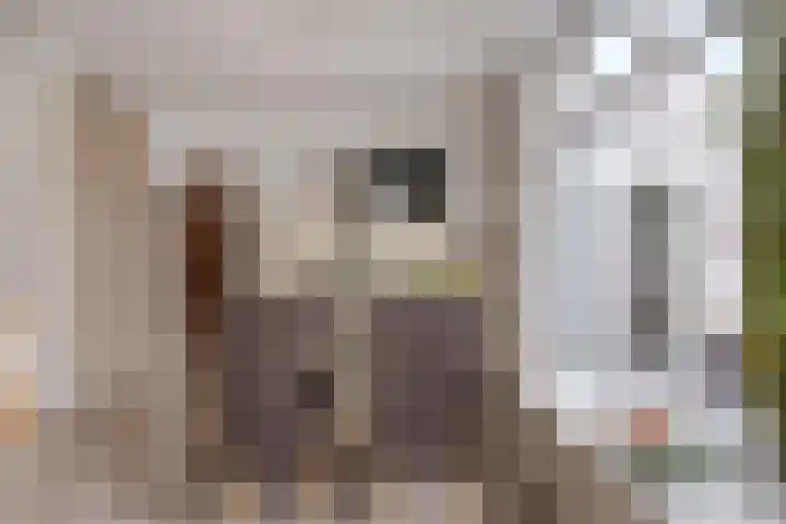 Deken Thielenstraat 3 Venray thumbnail 22