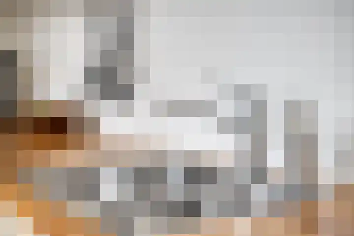 Deken Thielenstraat 3 Venray thumbnail 24