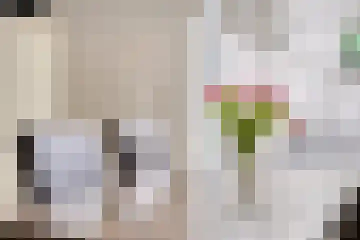 Deken Thielenstraat 3 Venray thumbnail 26