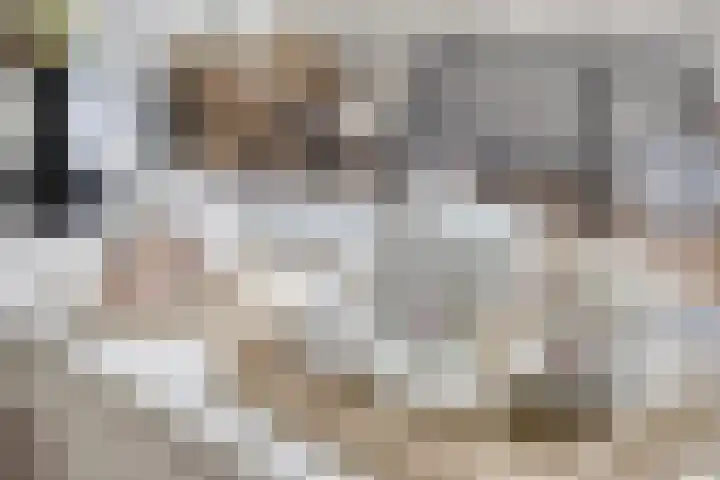 Deken Thielenstraat 3 Venray thumbnail 27