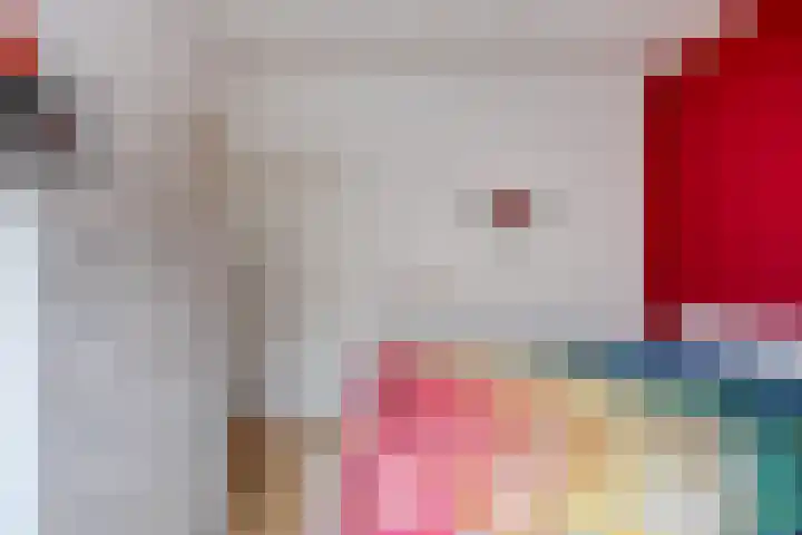 Deken Thielenstraat 3 Venray thumbnail 29