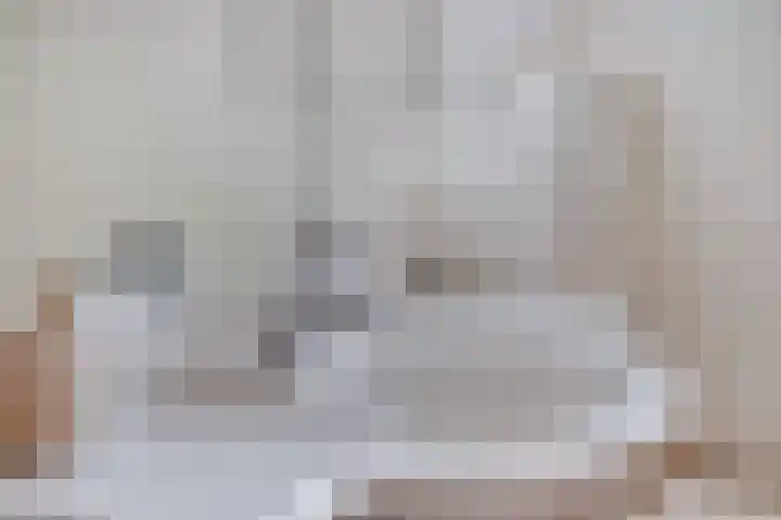 Deken Thielenstraat 3 Venray thumbnail 34