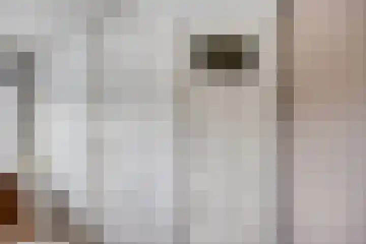 Deken Thielenstraat 3 Venray thumbnail 40