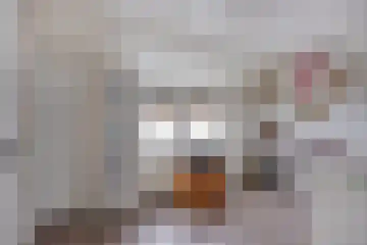 Deken Thielenstraat 3 Venray thumbnail 41