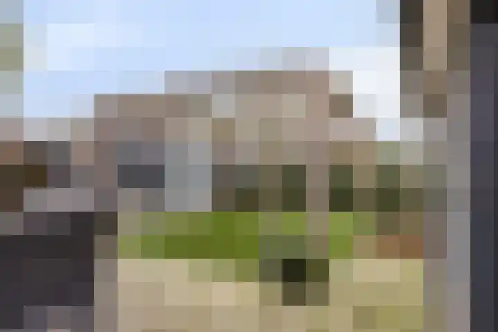 Deken Thielenstraat 3 Venray thumbnail 50