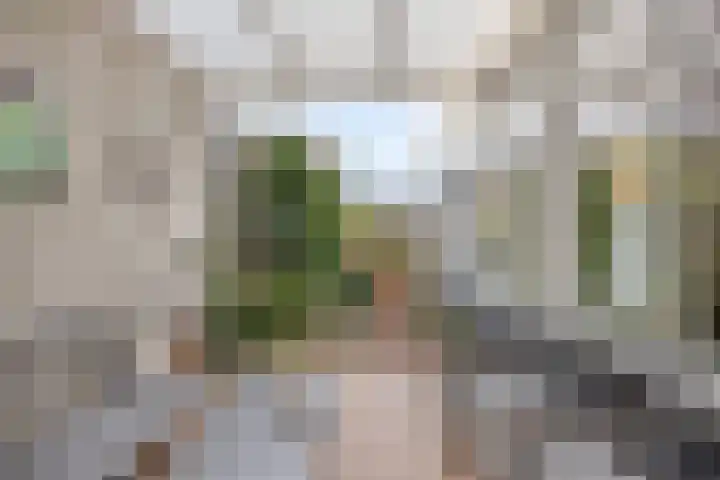 Deken Thielenstraat 3 Venray thumbnail 53