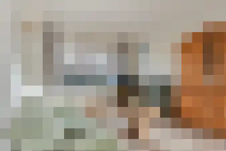 Deken Tomaslaan 32 's-Heerenhoek thumbnail 10