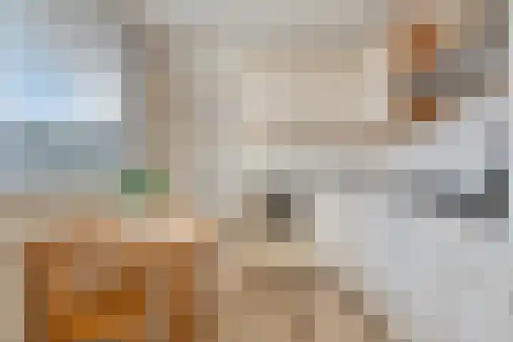Deken Tomaslaan 32 's-Heerenhoek thumbnail 13