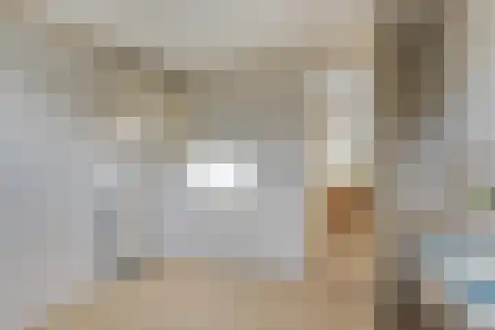 Deken Tomaslaan 32 's-Heerenhoek thumbnail 16