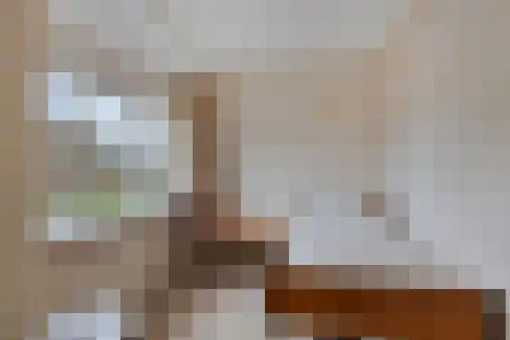 Deken Tomaslaan 32 's-Heerenhoek thumbnail 19