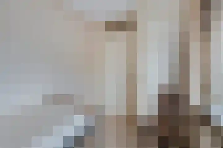 Deken Tomaslaan 32 's-Heerenhoek thumbnail 20