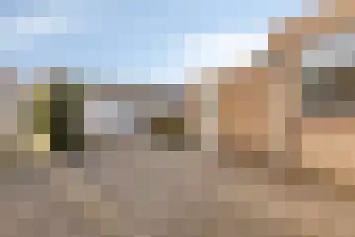 Deken Tomaslaan 32 's-Heerenhoek thumbnail 26