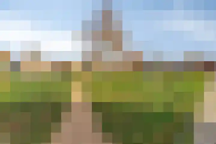 Deken Tomaslaan 32 's-Heerenhoek thumbnail 32