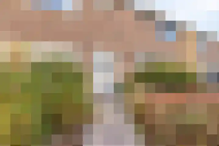 Deken Tomaslaan 32 's-Heerenhoek thumbnail 4