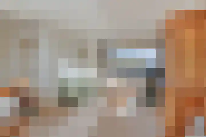 Deken Tomaslaan 32 's-Heerenhoek thumbnail 8