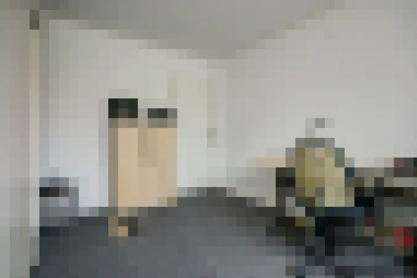 Deken Tomaslaan 46 's-Heerenhoek thumbnail 30