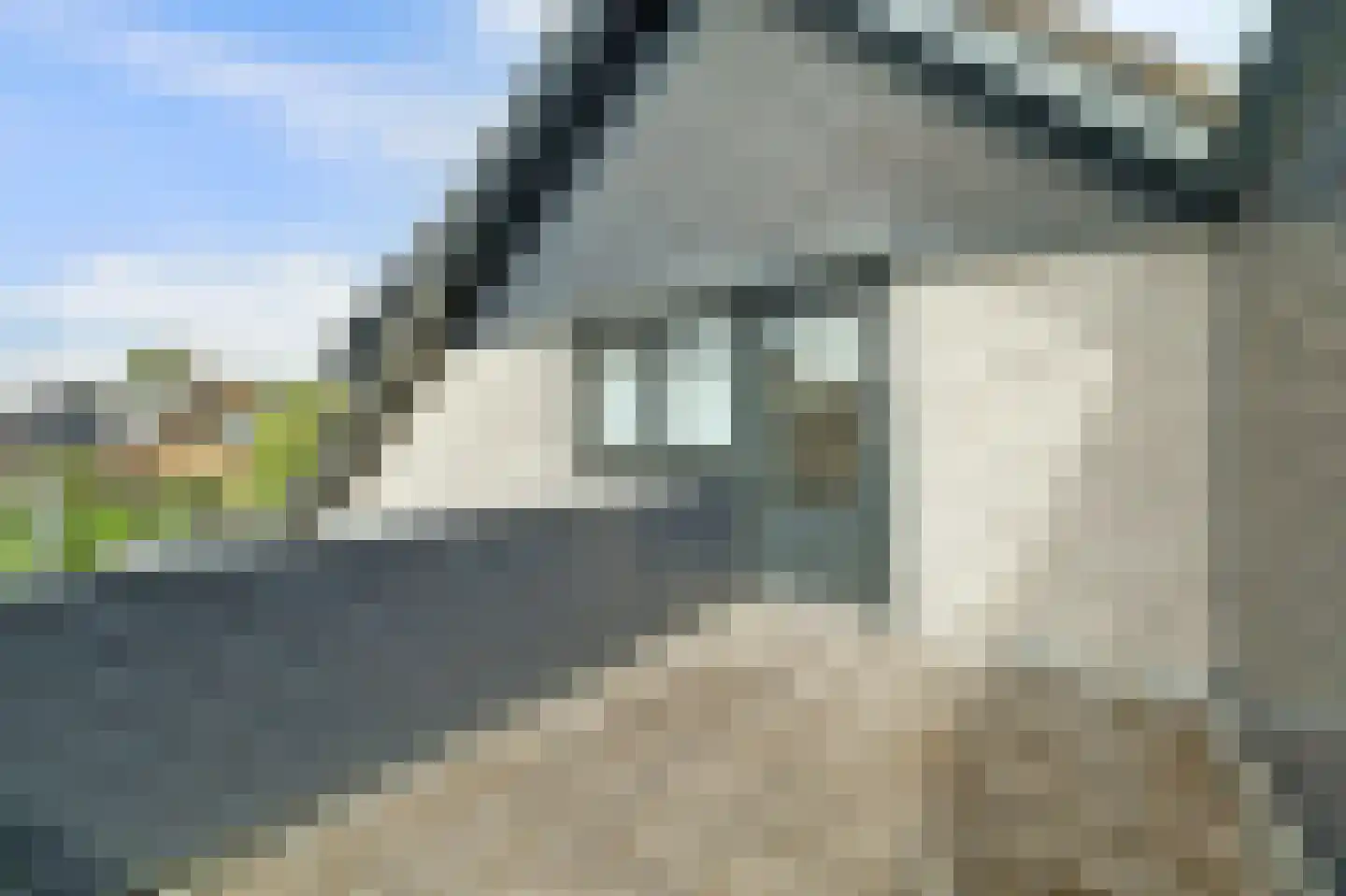 Deken Tomaslaan 46 's-Heerenhoek thumbnail 31