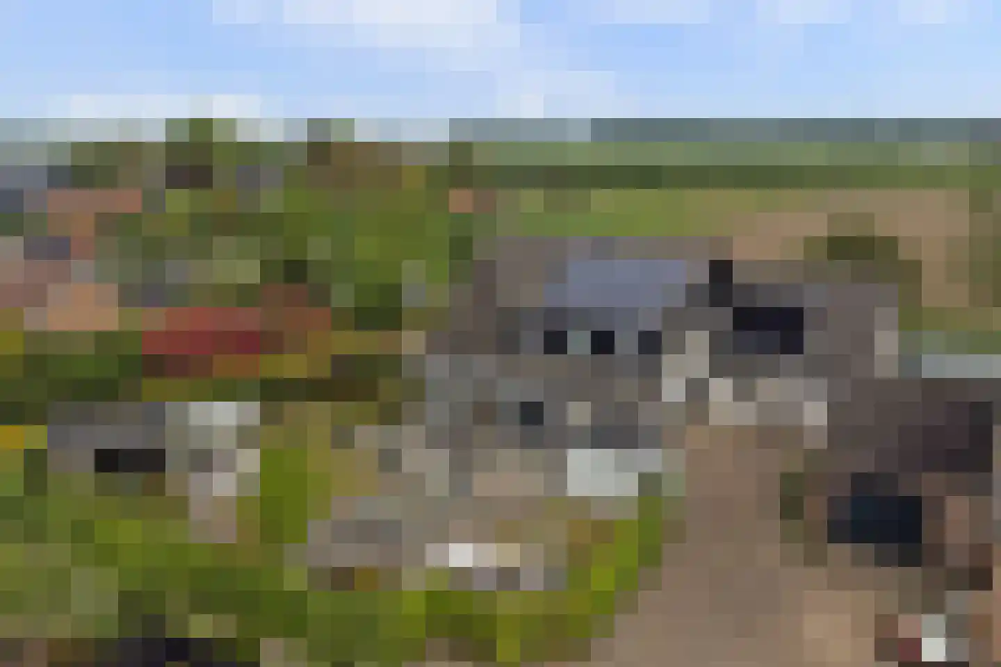 Deken Tomaslaan 46 's-Heerenhoek thumbnail 41