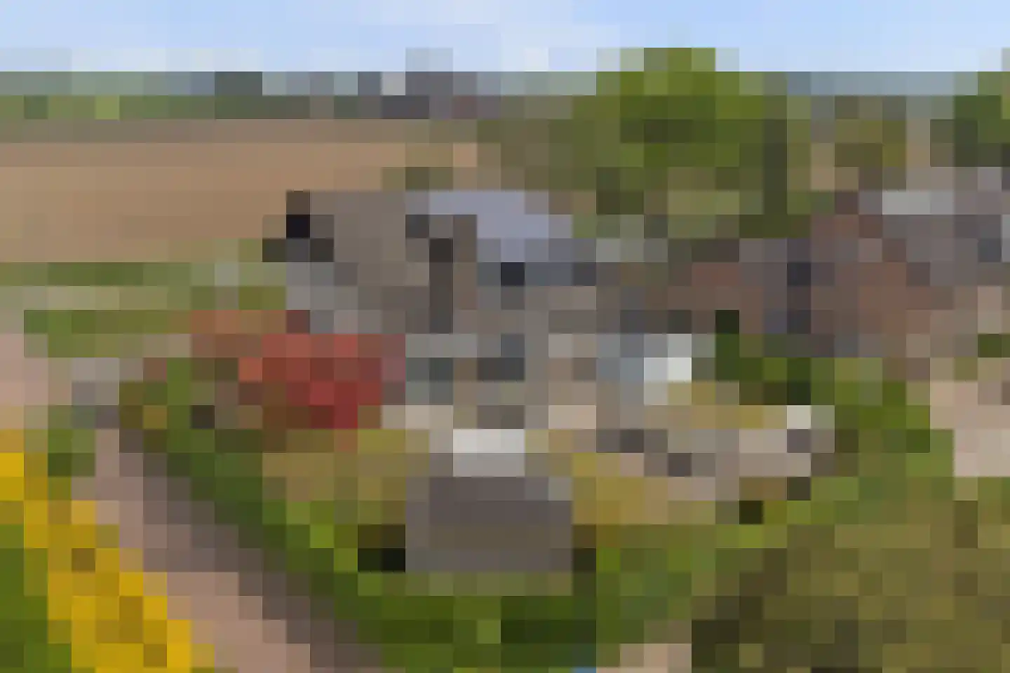 Deken Tomaslaan 46 's-Heerenhoek thumbnail 42