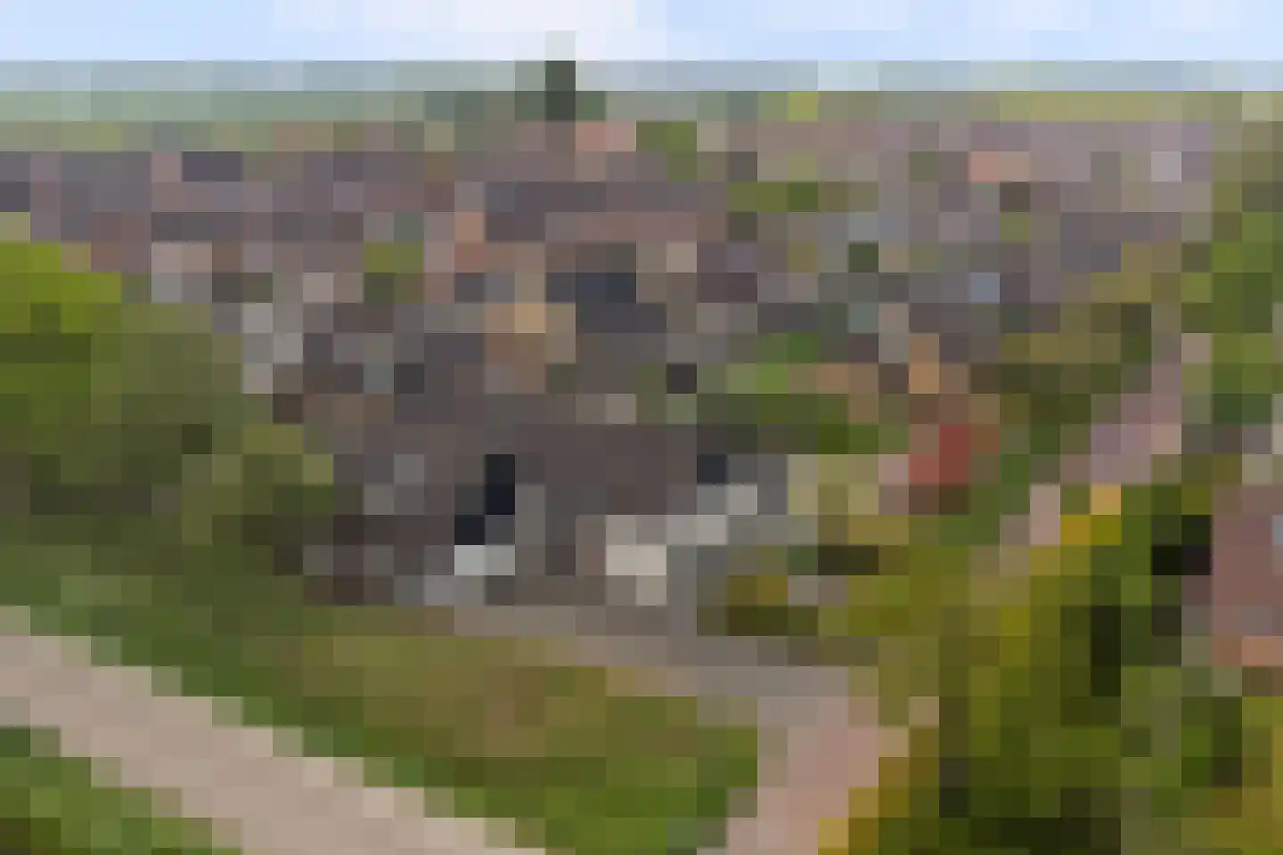 Deken Tomaslaan 46 's-Heerenhoek thumbnail 43