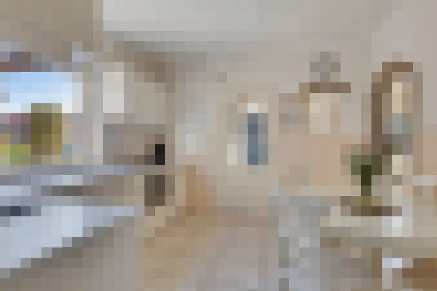 Deken Van Baarsstraat 47 Budel thumbnail 11