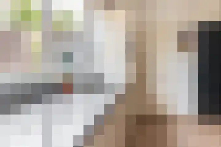 Deken van Baarstraat 14 Vlijmen thumbnail 15