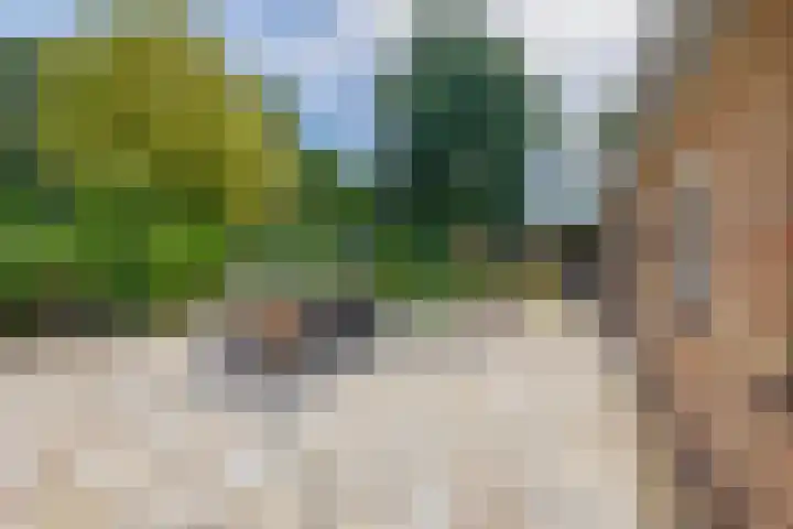Deken van Baarstraat 14 Vlijmen thumbnail 18