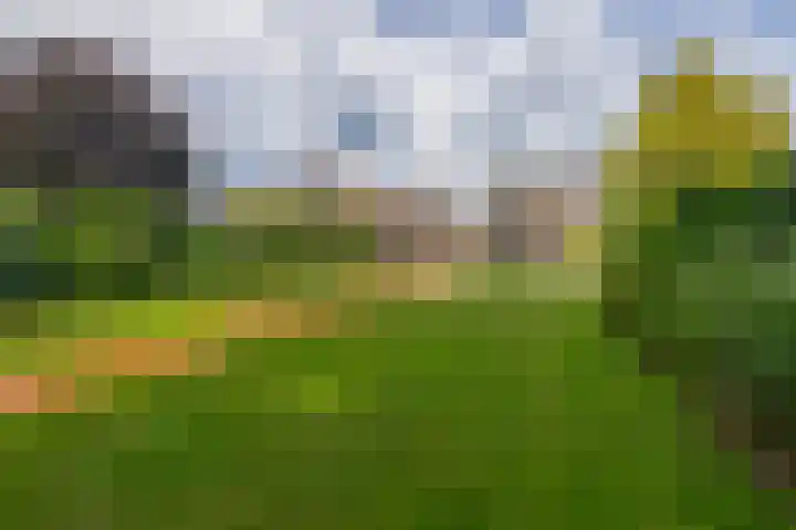 Deken van Baarstraat 14 Vlijmen thumbnail 20