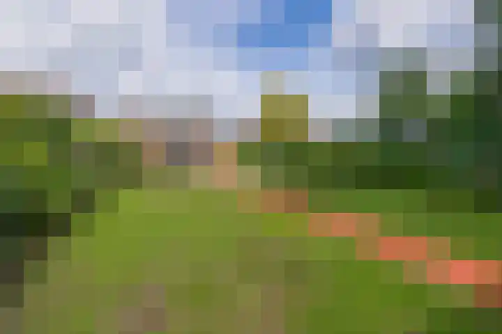 Deken van Baarstraat 14 Vlijmen thumbnail 24