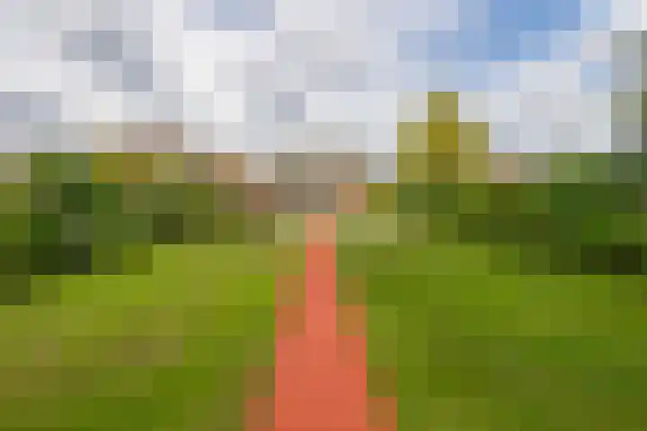 Deken van Baarstraat 14 Vlijmen thumbnail 25