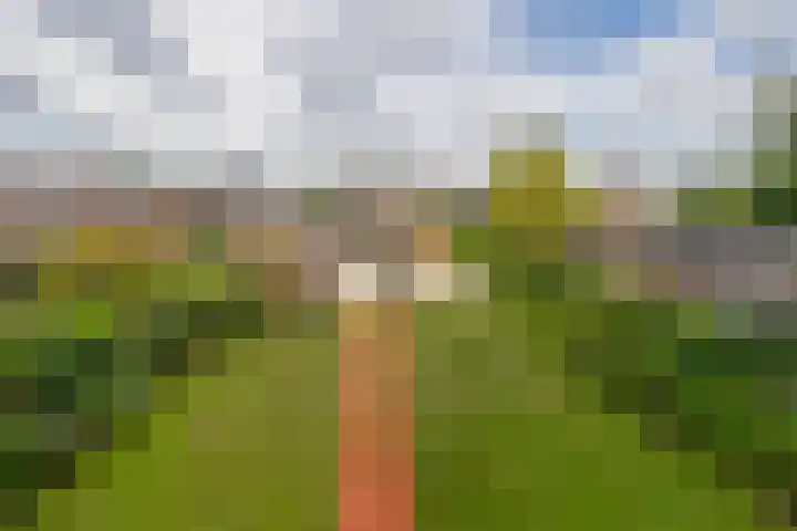 Deken van Baarstraat 14 Vlijmen thumbnail 26
