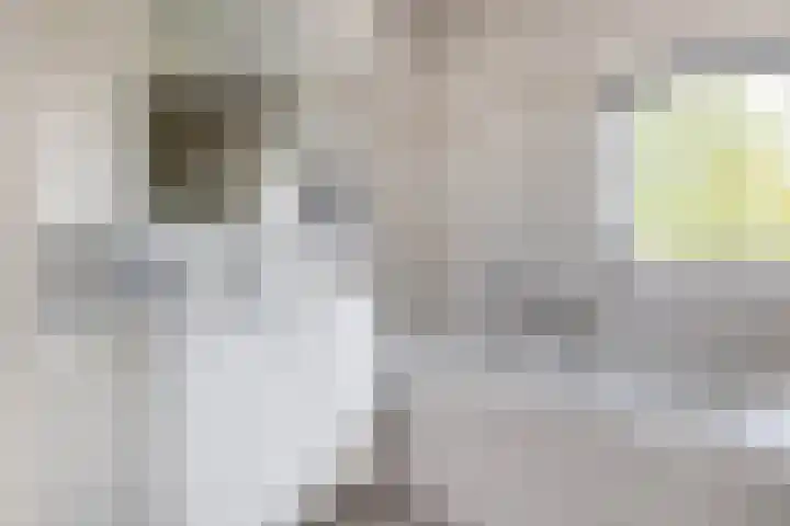 Deken van Baarstraat 14 Vlijmen thumbnail 28