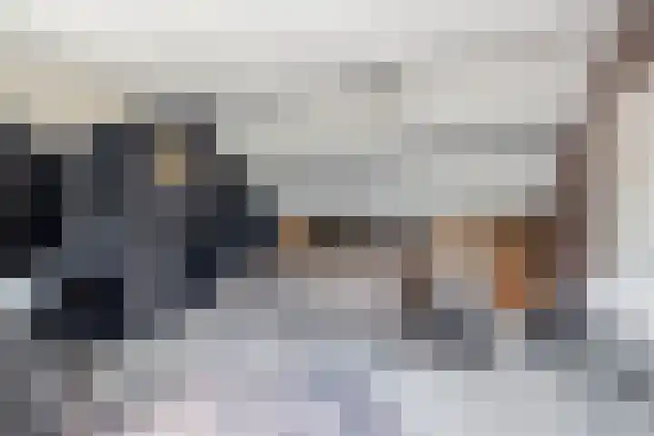 Deken van Baarstraat 14 Vlijmen thumbnail 34