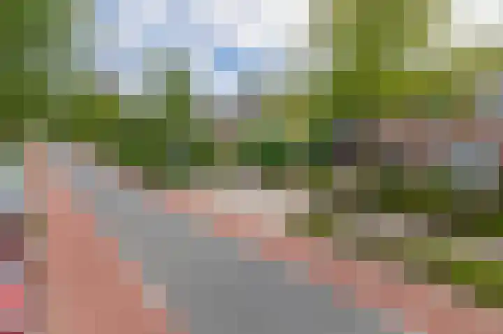 Deken van Baarstraat 14 Vlijmen thumbnail 36