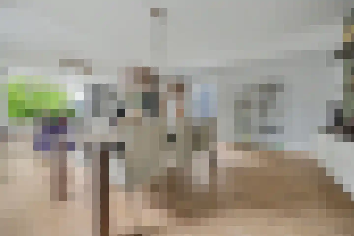 Deken van Baarstraat 21 A Vlijmen thumbnail 18