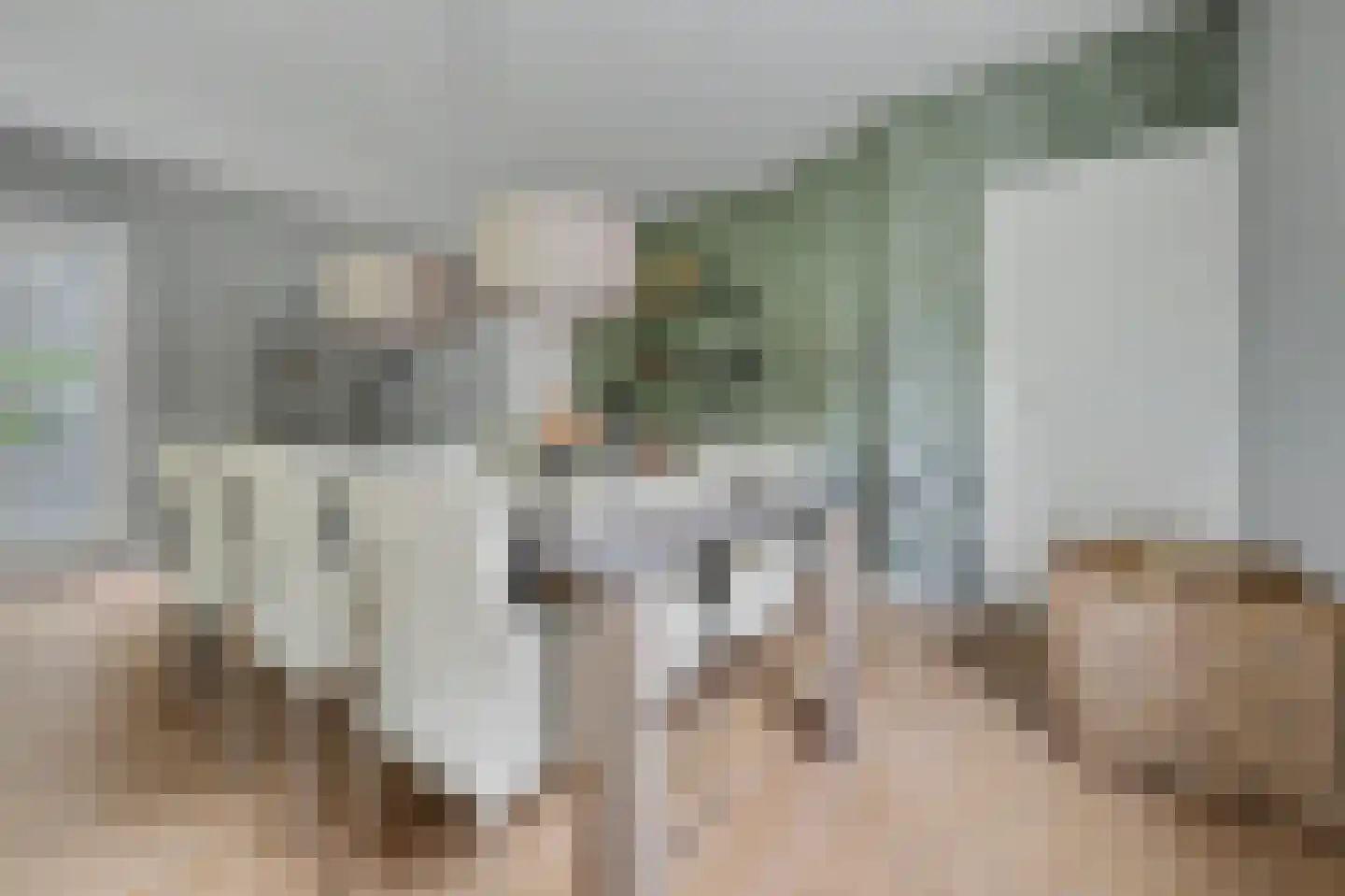 Deken van Baarstraat 21 A Vlijmen thumbnail 19