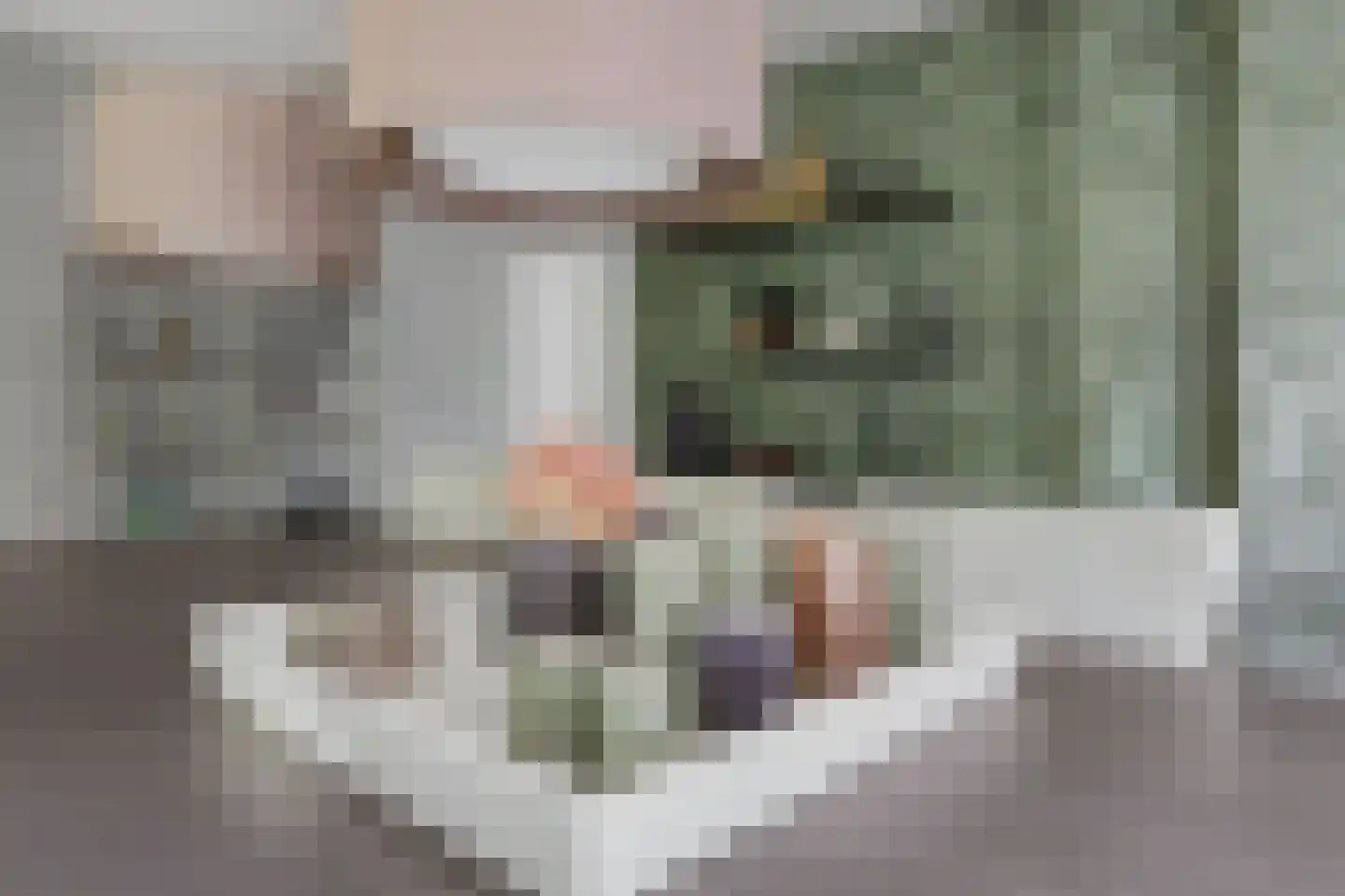 Deken van Baarstraat 21 A Vlijmen thumbnail 20