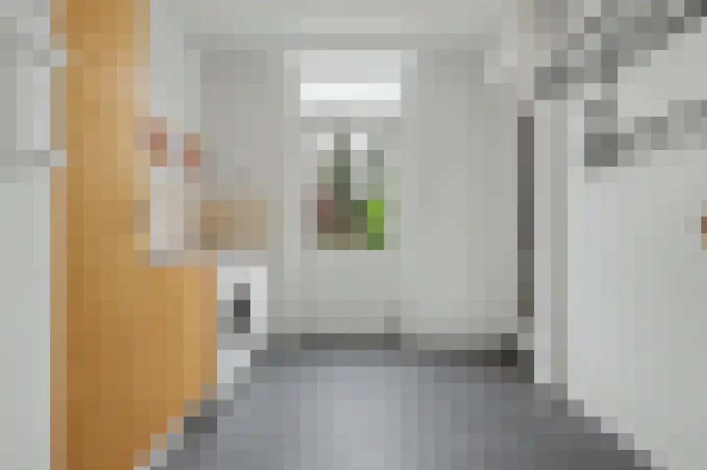 Deken van Baarstraat 21 A Vlijmen thumbnail 22