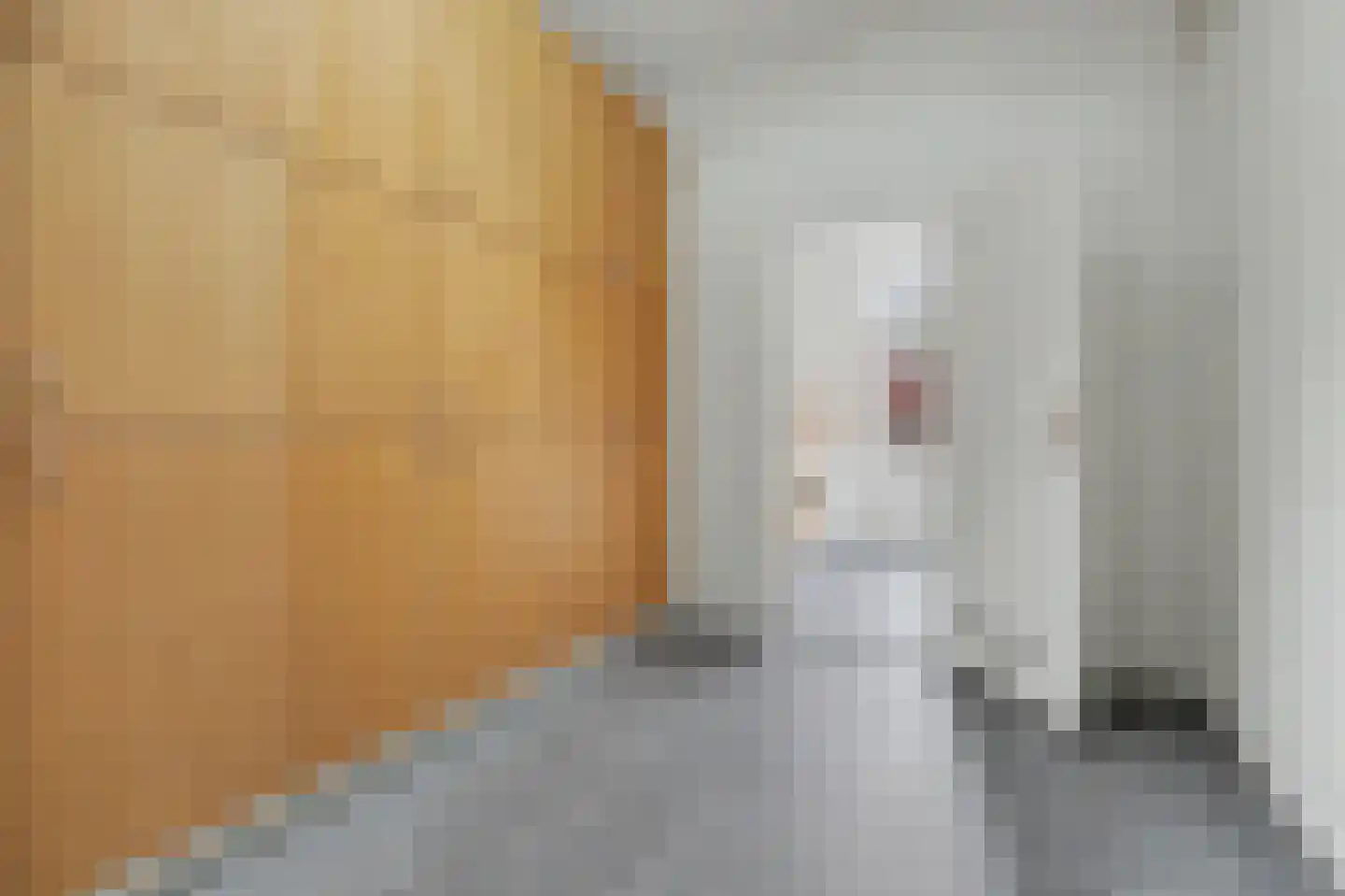 Deken van Baarstraat 21 A Vlijmen thumbnail 24