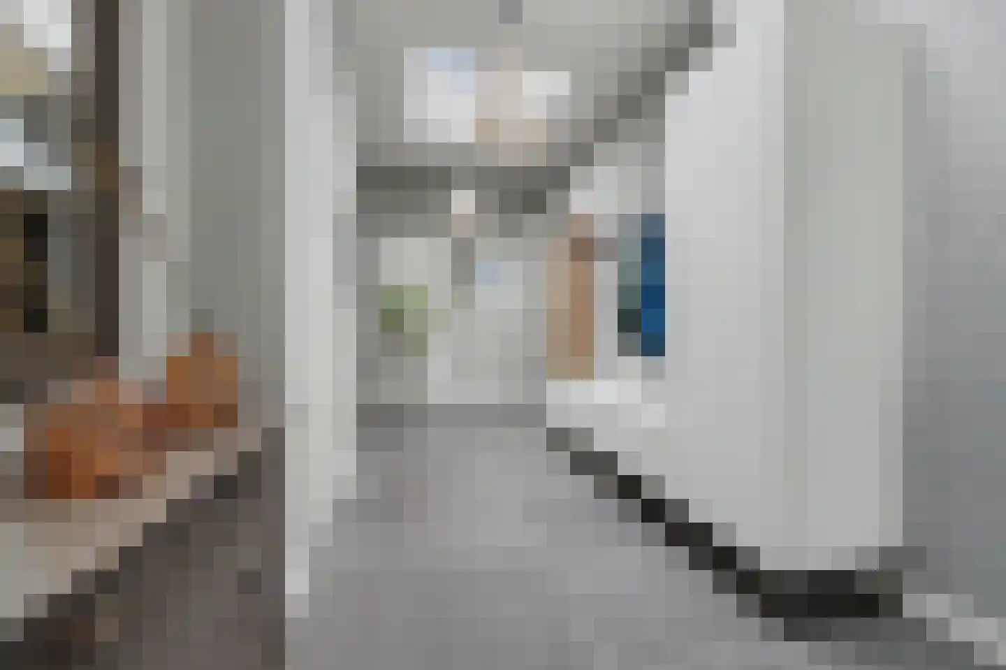 Deken van Baarstraat 21 A Vlijmen thumbnail 28