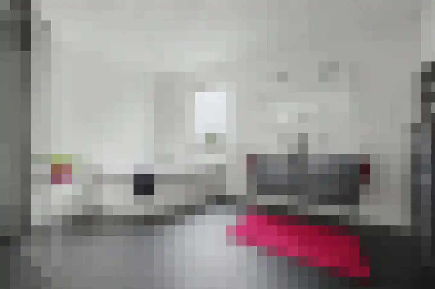 Deken van Baarstraat 21 A Vlijmen thumbnail 35