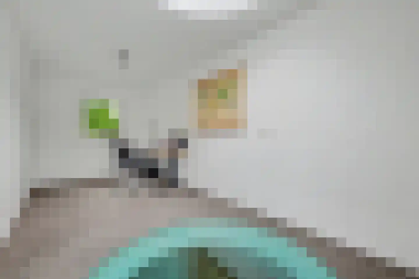 Deken van Baarstraat 21 A Vlijmen thumbnail 46
