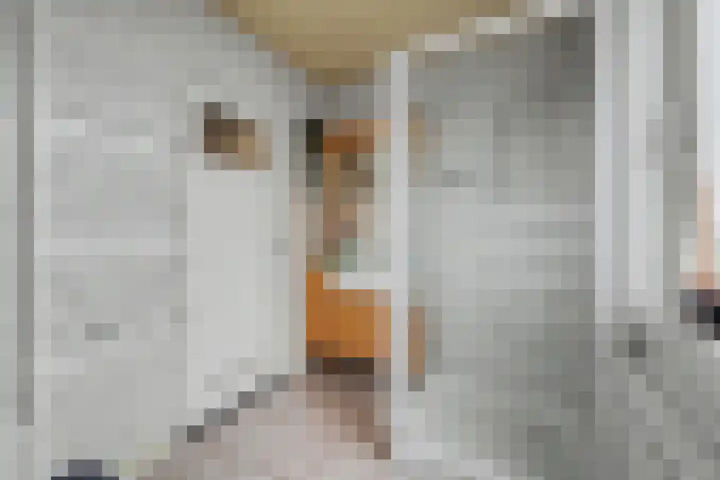 Deken van Baarstraat 21 A Vlijmen thumbnail 49