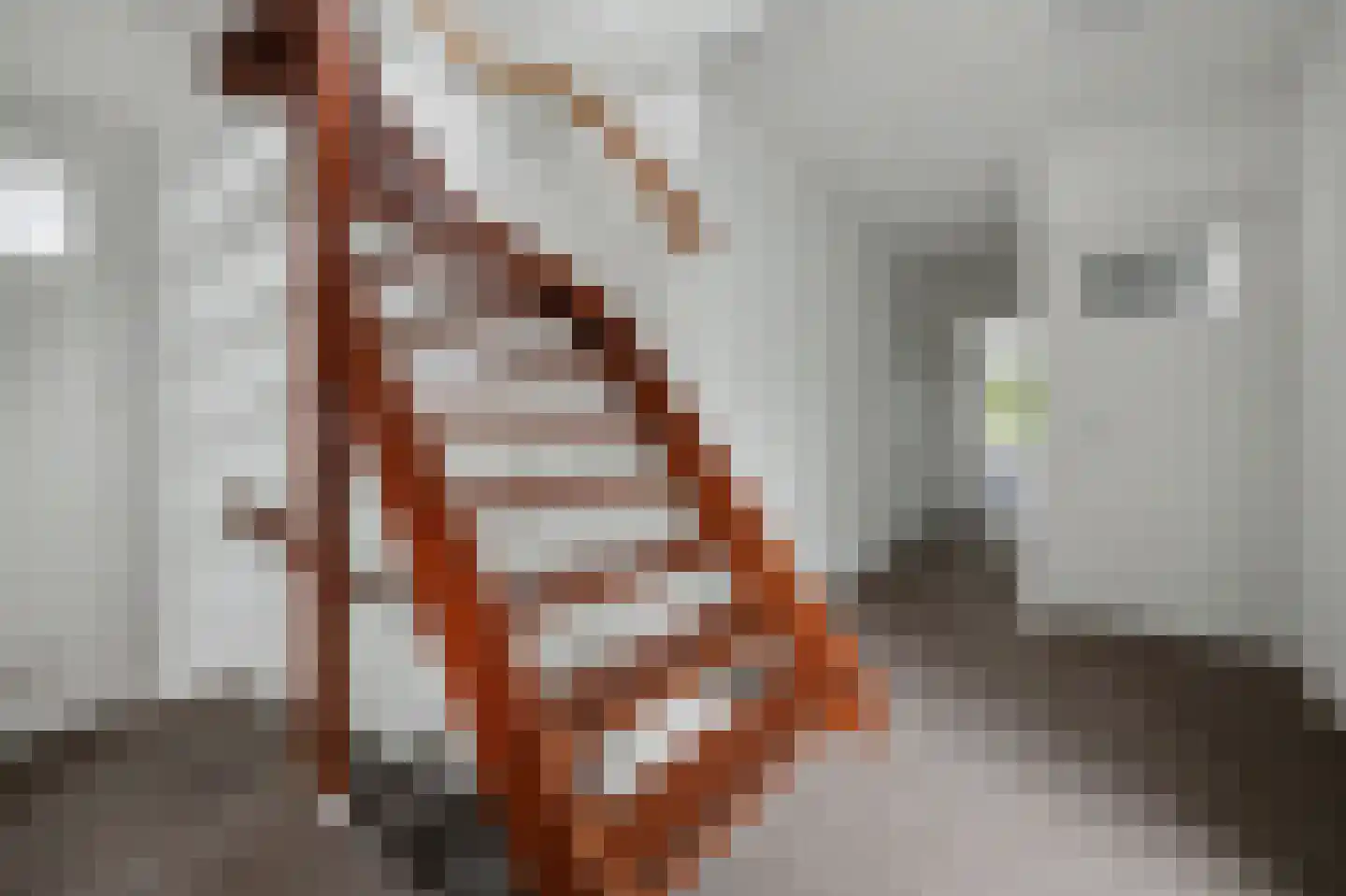 Deken van Baarstraat 21 A Vlijmen thumbnail 51