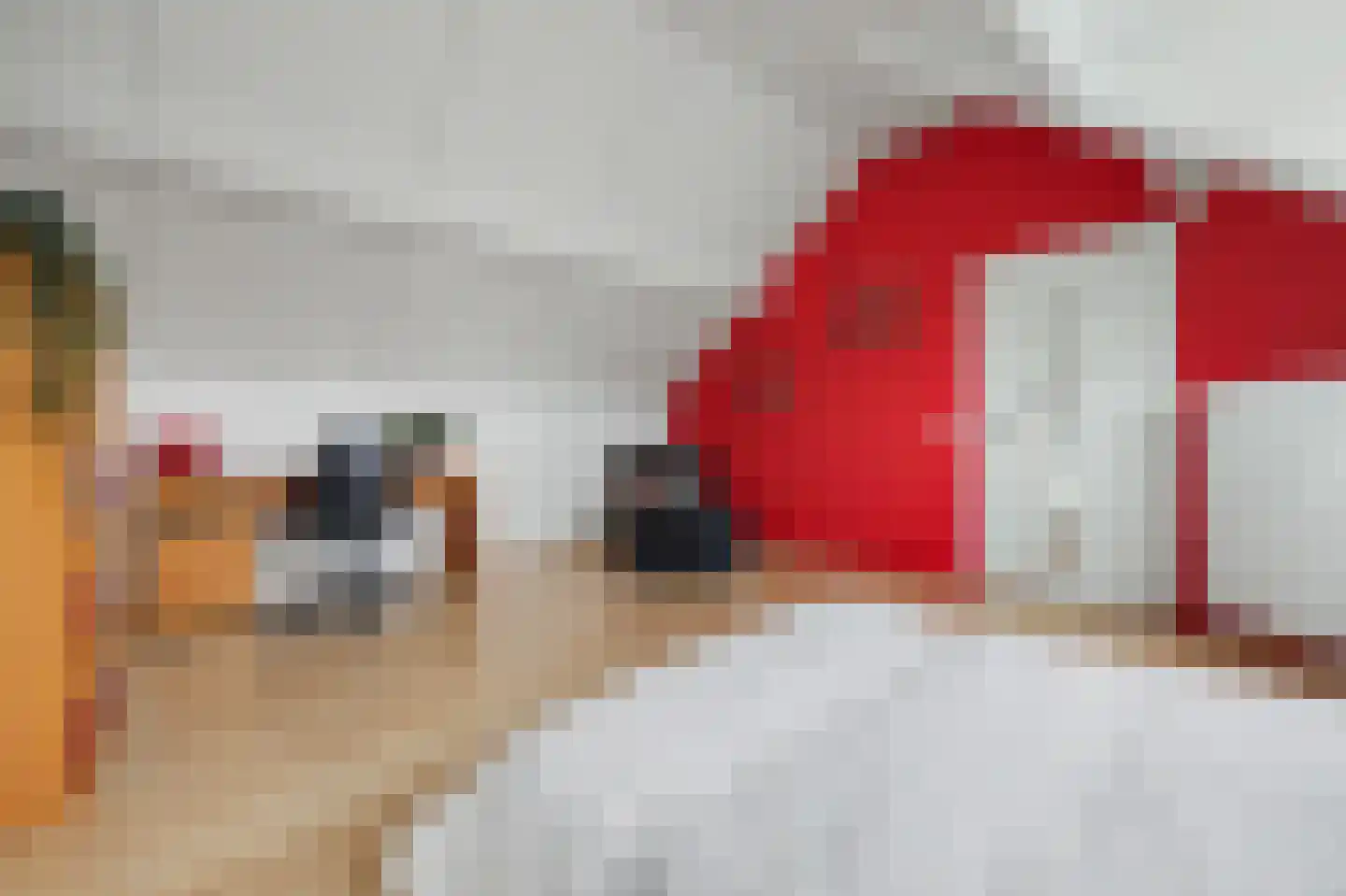 Deken van Baarstraat 21 A Vlijmen thumbnail 55